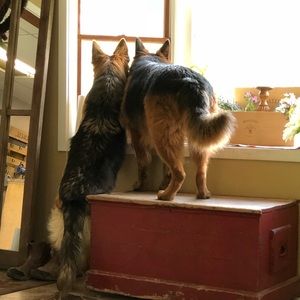 Meet your Posher, Patti